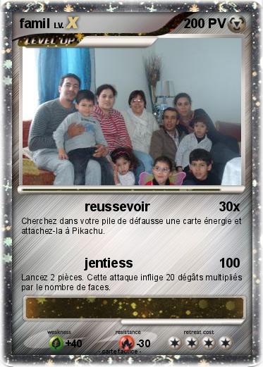 Pokemon famil