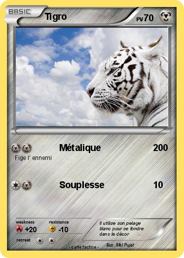 Pokemon Tigro
