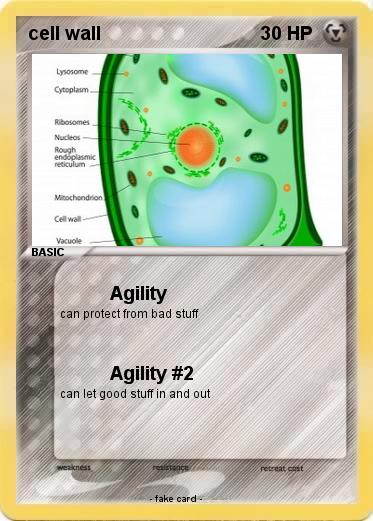 Pokemon cell wall
