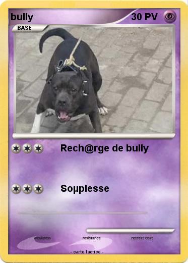 Pokemon bully