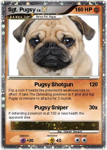 Pokemon Sgt. Pugsy