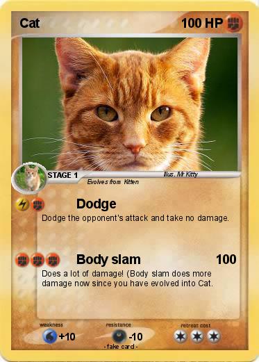 Pokemon Cat