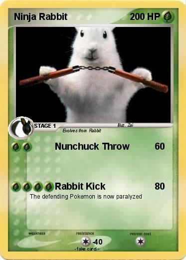 Pokemon Ninja Rabbit