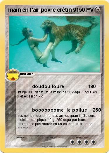 Pokemon main en l'air povre crétin 9