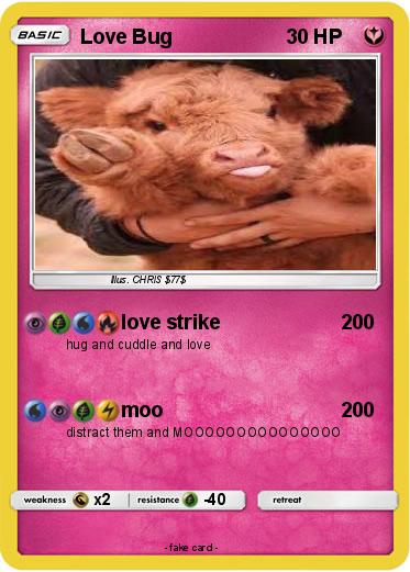 Pokemon Love Bug