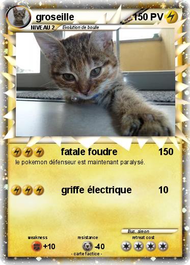 Pokemon groseille