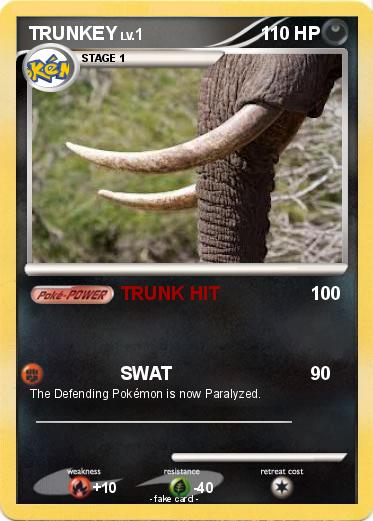 Pokemon TRUNKEY
