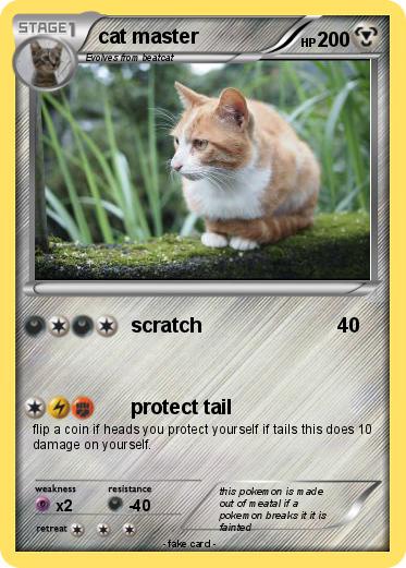 Pokemon cat master