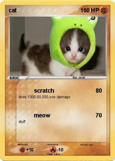 Pokemon cat