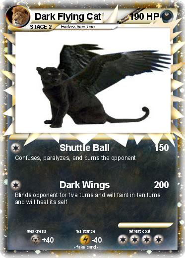 Pokemon Dark Flying Cat