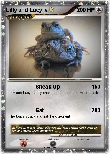 Pokemon Lilly and Lucy