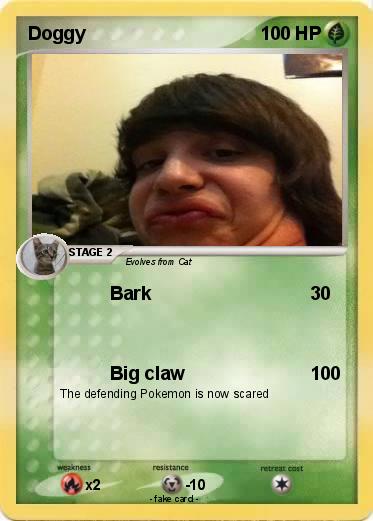 Pokemon Doggy