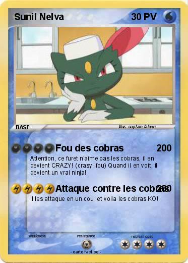 Pokemon Sunil Nelva