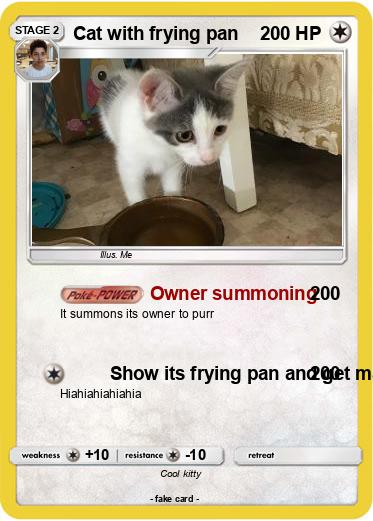 Pokemon Cat with frying pan