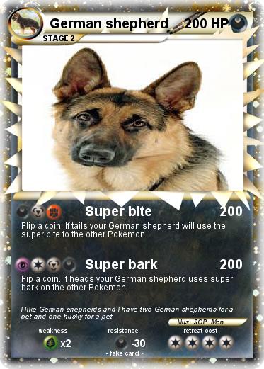 Pokemon German shepherd