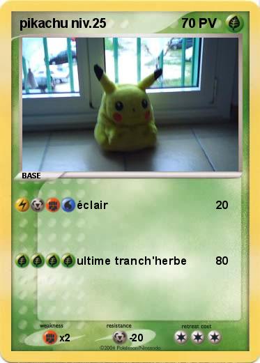 Pokemon pikachu niv.25