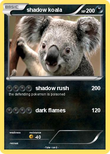 Pokemon shadow koala