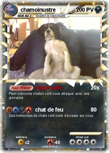 Pokemon chamoinustre