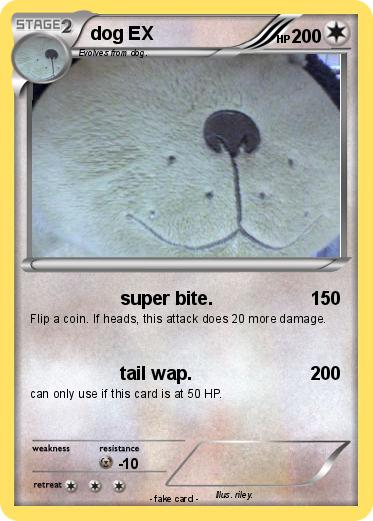 Pokemon dog EX