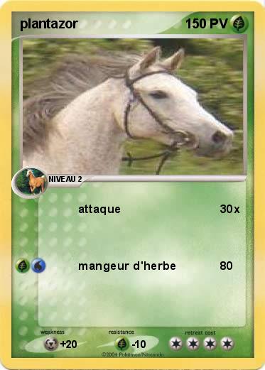 Pokemon plantazor
