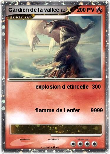 Pokemon Gardien de la vallee