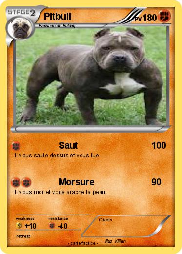 Pokemon Pitbull