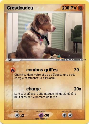 Pokemon Grosdoudou