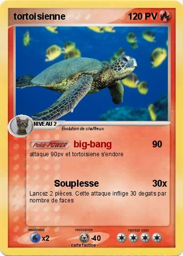 Pokemon tortoisienne