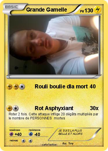 Pokemon Grande Gamelle