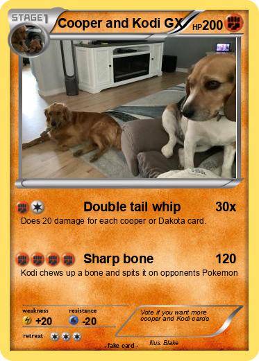 Pokemon Cooper and Kodi GX