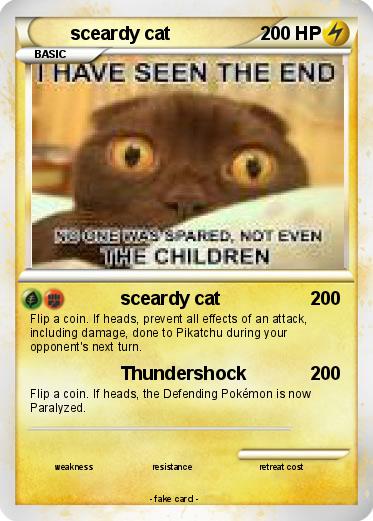 Pokemon sceardy cat
