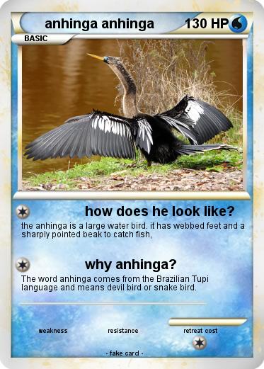 Pokemon anhinga anhinga