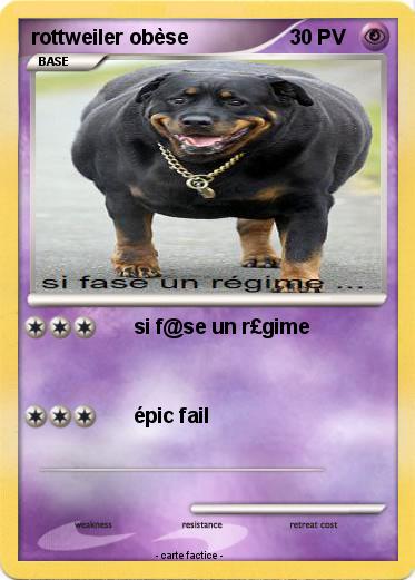 Pokemon rottweiler obèse