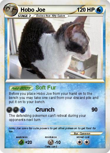 Pokemon Hobo Joe