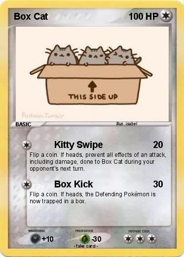 Pokemon Box Cat