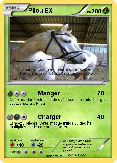 Pokemon Pilou EX