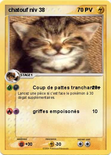 Pokemon chatouf niv 38