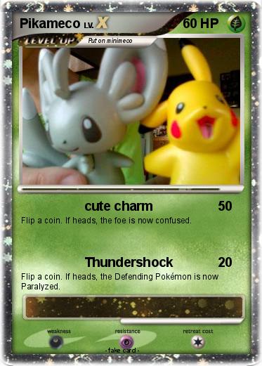 Pokemon Pikameco