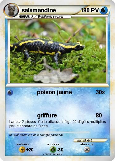 Pokemon salamandine