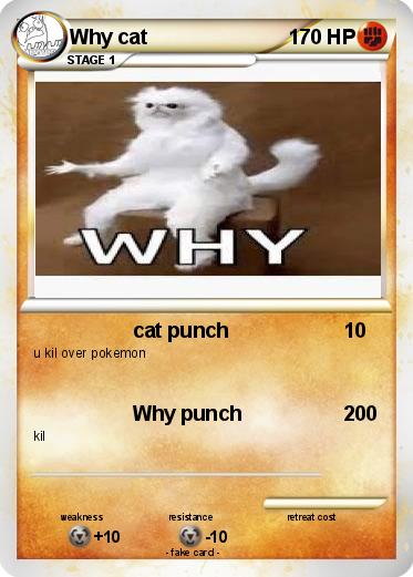 Pokemon Why cat