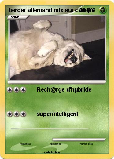 Pokemon berger allemand mix sur canapé