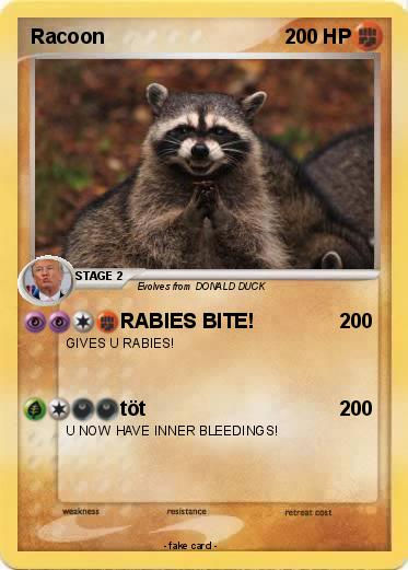 Pokemon Racoon
