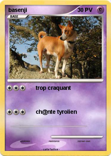Pokemon basenji