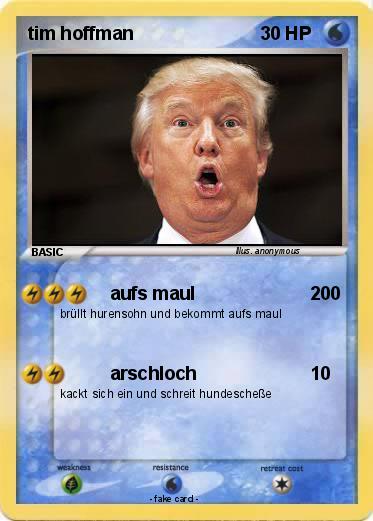 Pokemon tim hoffman