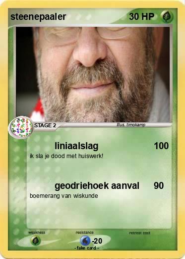Pokemon steenepaaler