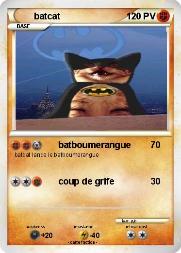 Pokemon batcat