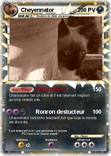 Pokemon Cheyennator