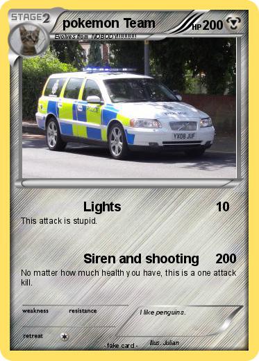Pokemon pokemon Team