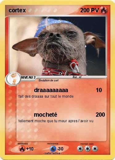 Pokemon cortex