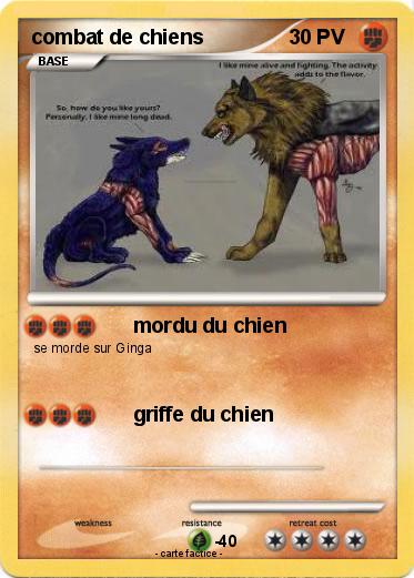 Pokemon combat de chiens